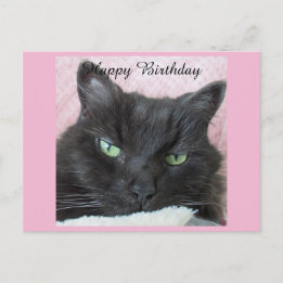 Schwarze Katze Geburtstagspostkarte Postkarte