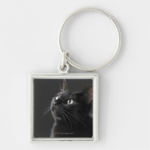 Schwarze Katze gegen schwarzen Hintergrund, Schlüsselanhänger