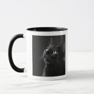 Schwarze Katze gegen schwarzen Hintergrund, Tasse