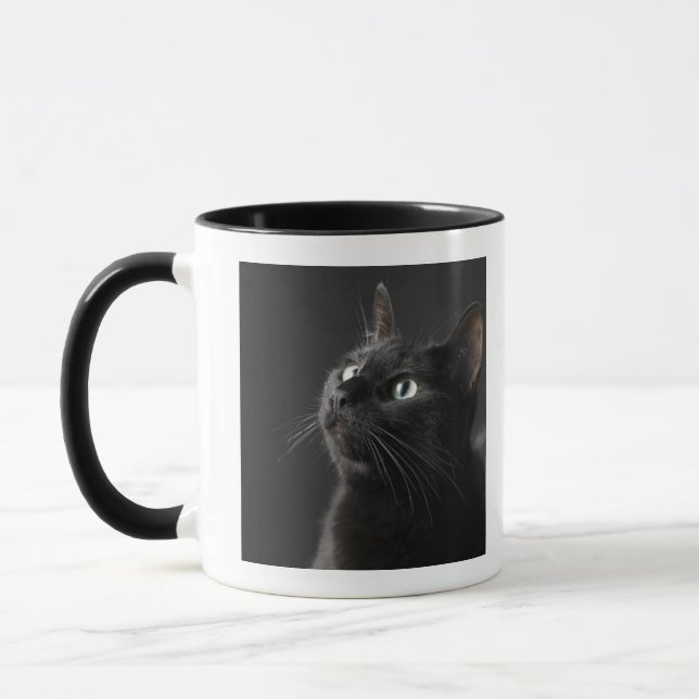 Schwarze Katze gegen schwarzen Hintergrund, Tasse (Links)