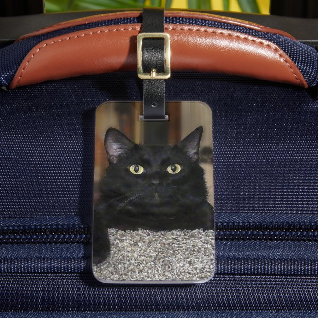 Schwarze Katze Gepäckanhänger (Vorderseite Insitu 2)