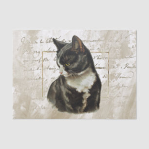 Schwarze Katze Gold Französische Schrift Goldrahme Seidenpapier