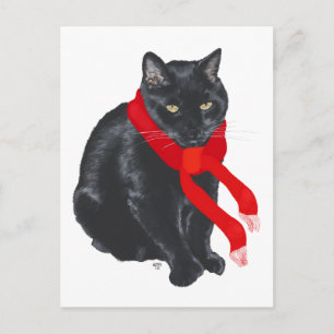 Schwarze Katze hält sich zu Weihnachten warm