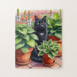 Schwarze Katze im Hosta Garden