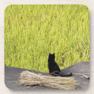 Schwarze Katze im Reis-Paddy Untersetzer