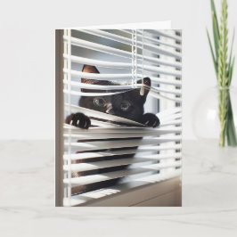 Schwarze Katze in Blinds zum Geburtstag Karte