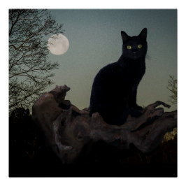 Schwarze Katze in einem Baum vor Vollmond Poster