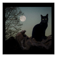 Schwarze Katze in einem Baum vor Vollmond