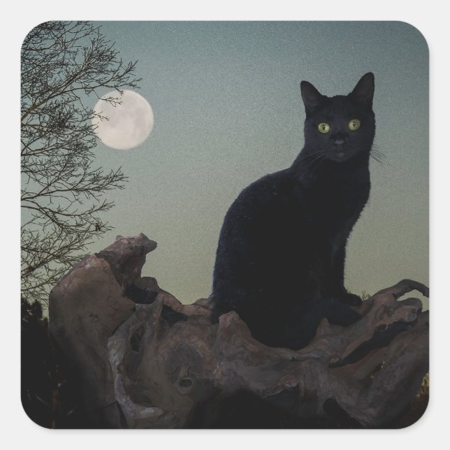 Schwarze Katze in einem Baum vor Vollmond Quadratischer Aufkleber (Vorderseite)