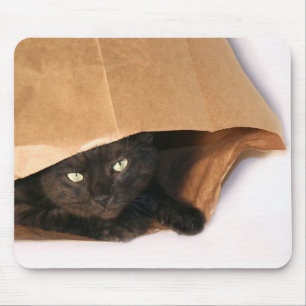 Schwarze Katze in einem Taschenmousepad Mousepad