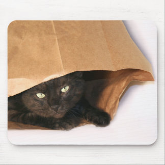 Schwarze Katze in einem Taschenmousepad Mousepad