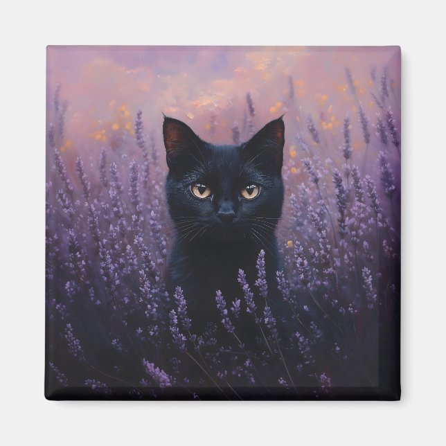 Schwarze Katze in einer Lavenderfelddarstellung Magnet (Vorne)