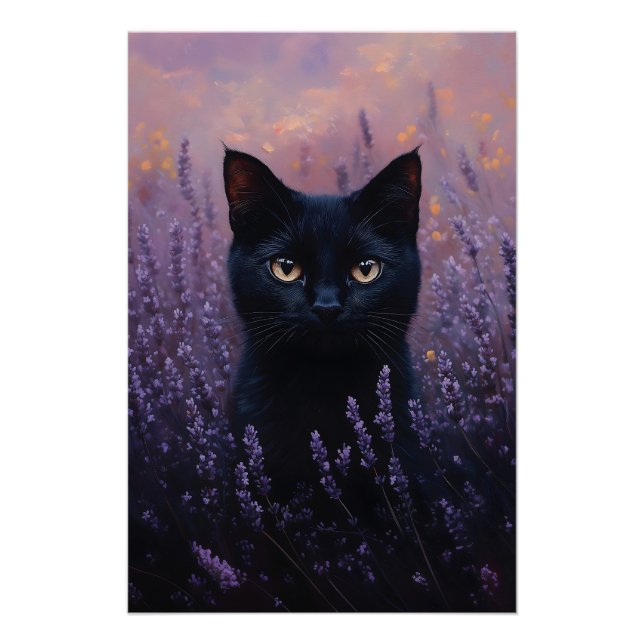 Schwarze Katze in einer Lavenderfelddarstellung Poster (Vorderseite)