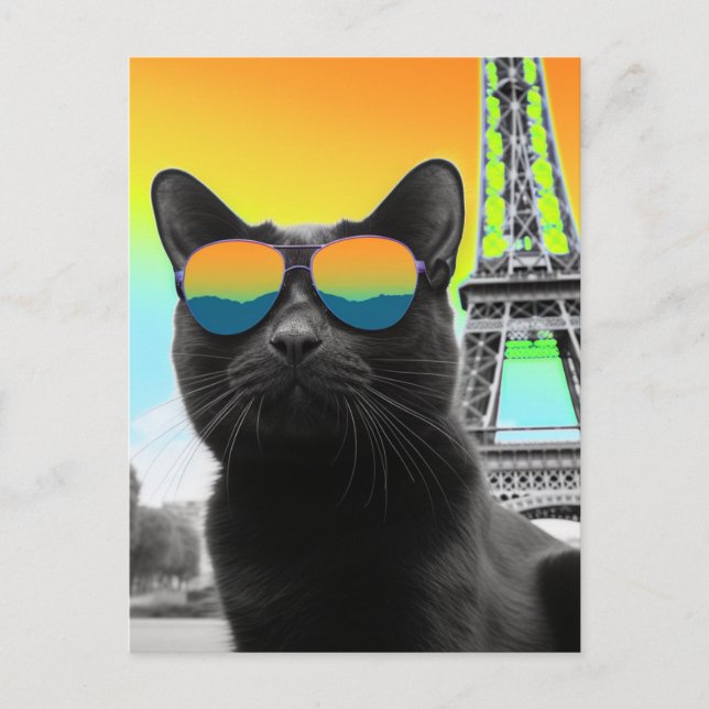 Schwarze Katze in einer Sonnenbrille in Paris Postkarte (Vorderseite)