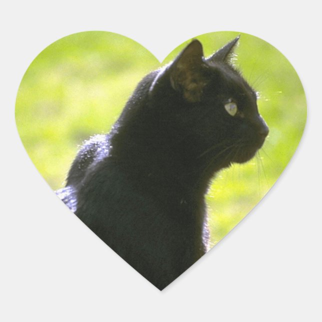Schwarze Katze in Profil Herz-Aufkleber (Vorderseite)