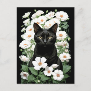 Schwarze Katze in weißen Blume (Aktualisierung) Po Postkarte