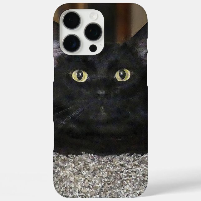 Schwarze Katze iPhone 16 Pro Max Hülle (Rückseite)