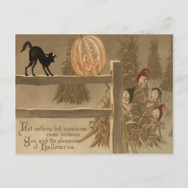 Schwarze Katze Jack O Lantern Kürbis Heuhaufen Postkarte (Vorderseite)