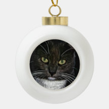 Schwarze Katze