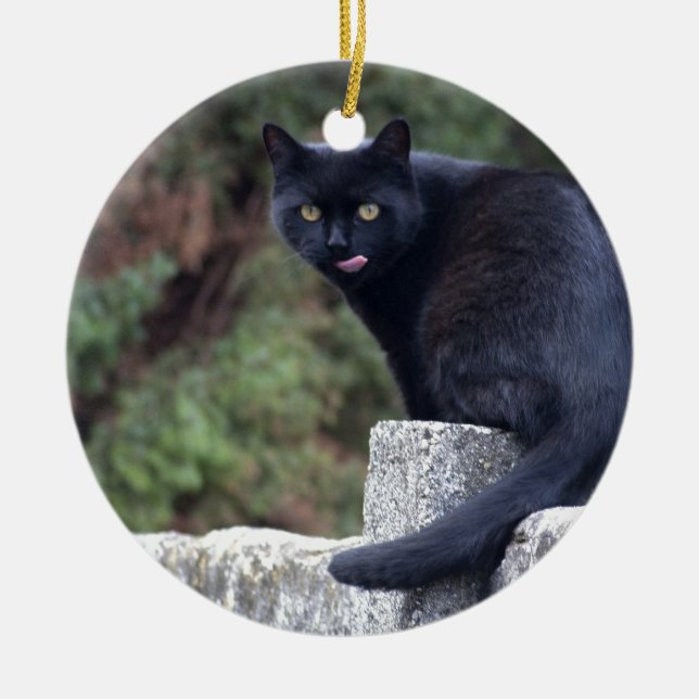 Schwarze Katze Keramik Ornament (Vorne)
