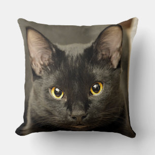 Schwarze Katze Kissen