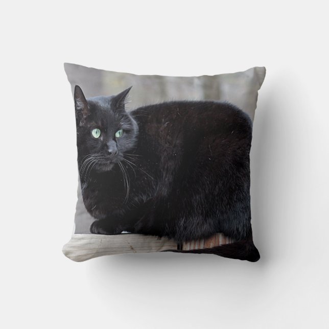 Schwarze Katze Kissen (Vorderseite)