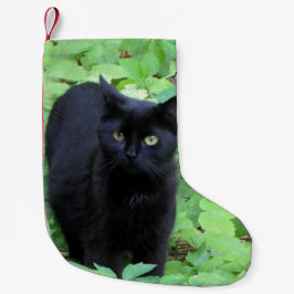 Schwarze Katze Kleiner Weihnachtsstrumpf