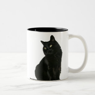 Schwarze Katze Lau Tasse