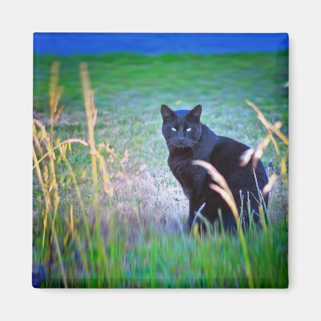 Schwarze Katze Magnet (Vorne)