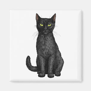Schwarze Katze Magnet