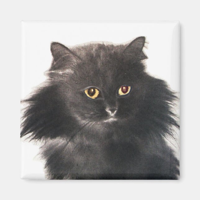 SCHWARZE KATZE MAGNET (Vorne)
