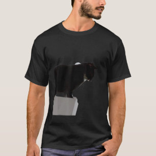 Schwarze Katze Meme witziges Kätzchen T-Shirt