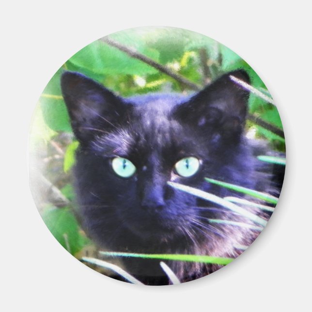 Schwarze Katze mit auffälligen grünen Augen Magnet (Vorne)