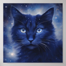 Schwarze Katze mit blauen Augen auf einem Sternenh