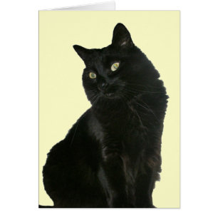 Schwarze Katze mit goldener Augen-Karte