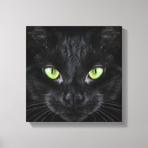 Schwarze Katze mit grünen Augen Leinwanddruck