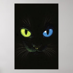Schwarze Katze mit grünen und blauen Augen Poster