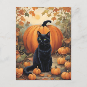 Schwarze Katze mit Halloween Pumpkin Postkarte