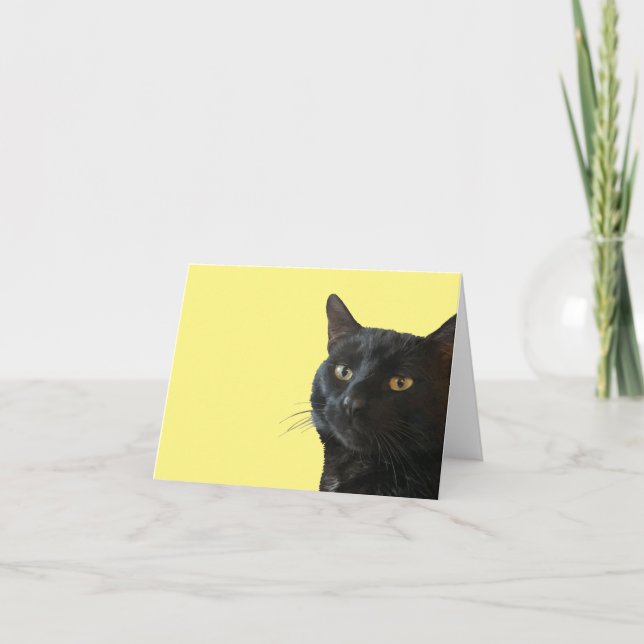Schwarze Katze mit lustigen, sonderbaren Ausdrücke Karte (Vorderseite)