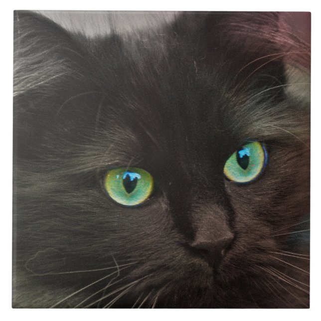 Schwarze Katze mit Porträt der grünen Augen Fliese (Vorderseite)