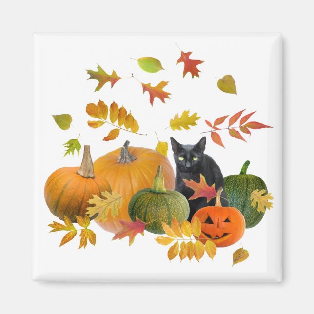 Schwarze Katze mit Pumpkins Magnet (Vorne)