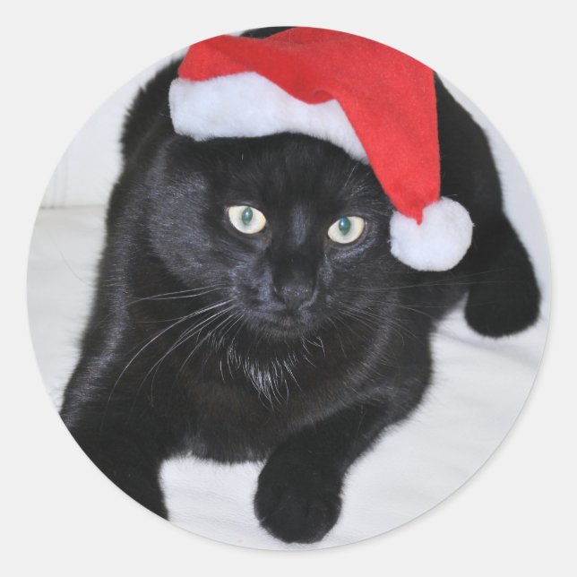 Schwarze Katze mit roter Weihnachtsmannmütze Runder Aufkleber (Vorderseite)