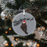 Schwarze Katze mit Weihnachtsmannmütze | Schlitten Ornament Aus Glas<br><div class="desc">Ein personalisierter Weihnachtsschmuck ist ein guter Weg, um Ihr Haustier zu Weihnachten zu feiern. Ein zeichn einer rot-weißen Weihnachtsmannmütze wird auf ein Foto einer schwarzen Katze gelegt. Eine Silhouette von Schlitten und Rentieren des Weihnachtsmannes, die durch den Himmel fliegen, befindet sich im grauen Hintergrund. Wenn Sie gewollt haben, das KatzenFoto...</div>