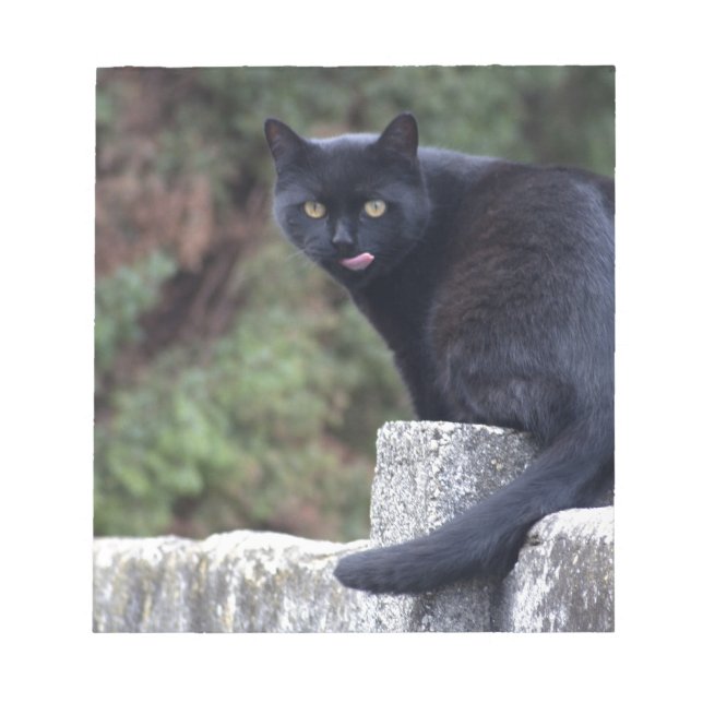 Schwarze Katze Notizblock (Vorderseite)