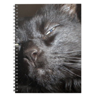 Schwarze Katze - oh kommen Sie ja sie erhalten Notizblock