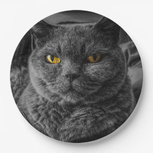 Schwarze Katze Pappteller