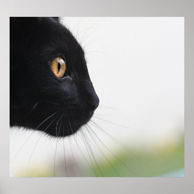 Schwarze Katze Poster (Vorne)