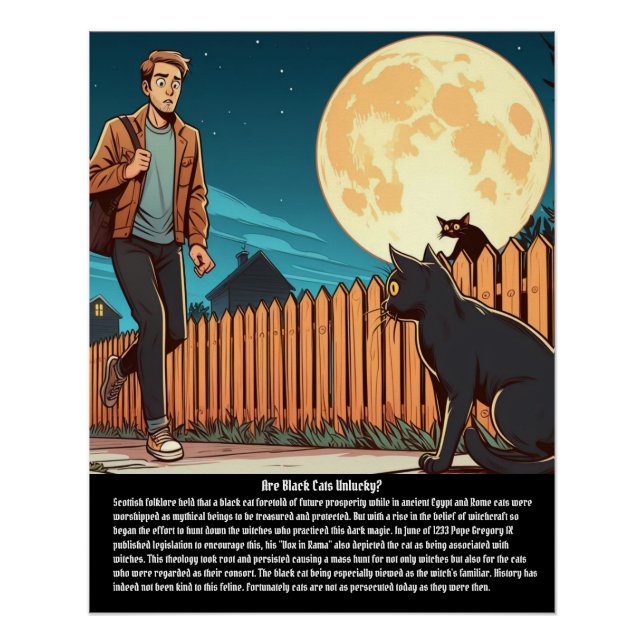 Schwarze Katze Poster (Vorderseite)