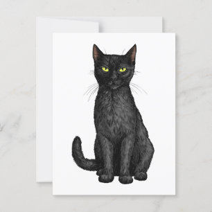 Schwarze Katze Postkarte