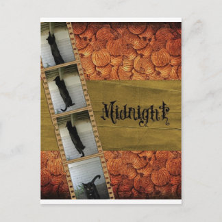 Schwarze Katze Postkarte